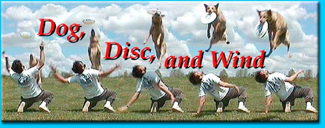Dog, Disc, and Wind